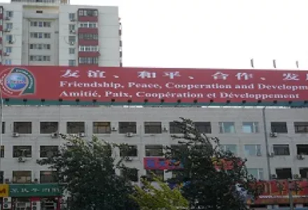 China-Africa Summit