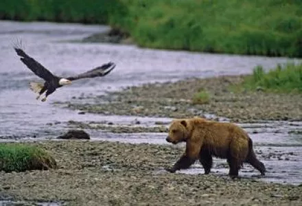 Transcending Mutual Deterrence in the U.S.-Russian Relationship