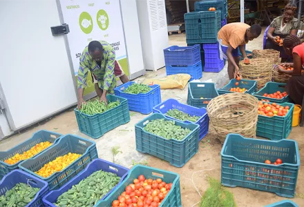 Farmers load plastic crates with produce in front of a ColdHubs storage station in Nigeria