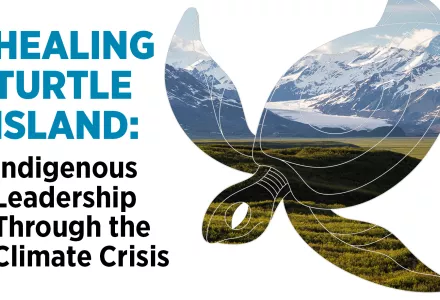 Silhouette of a turtle