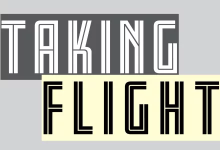 Taking Flight