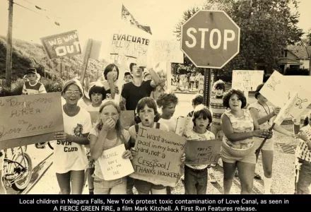 A Fierce Green Fire: The Battle for a Living Planet