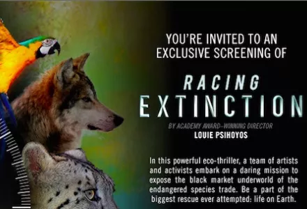 Racing Extinction –  Film screening and discussion on a provocative new environmental documentary