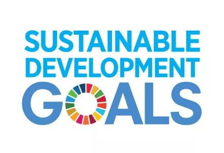 SDG wordmark