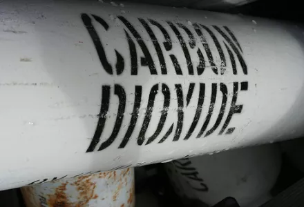 Organizing Carbon Capture and Storage Deployment: Returns to Scale for the Coupled Technological System