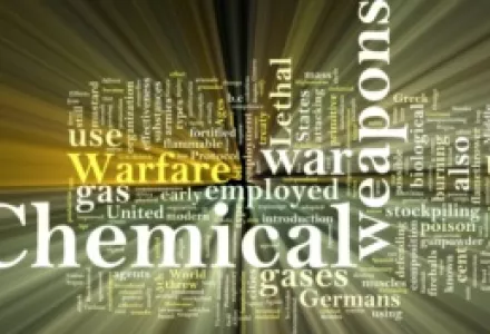 The Inflated Influence of Chemical Weapons on  U.S. Foreign Policy