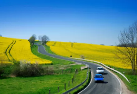 Fuel Economy and Biofuels: Does Low-Fossil Always Mean Low-Carbon?