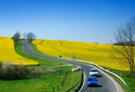 Policy Options for Reducing Oil Consumption and Greenhouse-Gas Emissions from the U.S. Transportation Sector