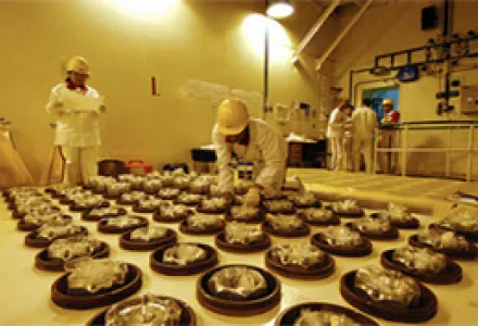 IAEA Safeguards: Deciding Where and When to Inspect