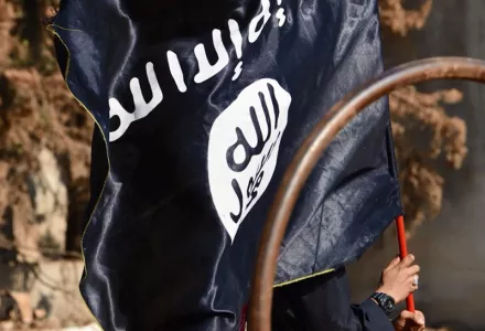 Islamic State member