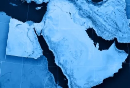 Prospects for Establishing a WMD-Free Zone in the Middle East