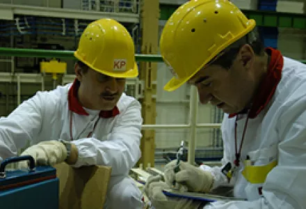 Safeguards inspectors