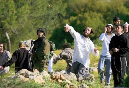 Settler Logics: The Israeli Settler Movement in Context