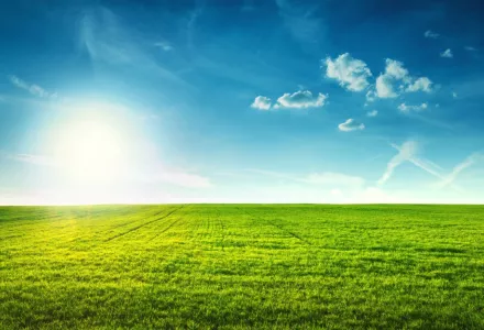 Sunshine and a green field