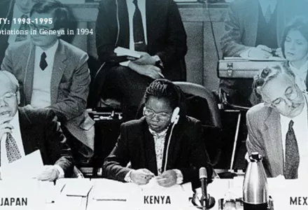 Comprehensive Nuclear-Test-Ban Treaty Organization: Treaty Negotiations in Geneva in 1994. 