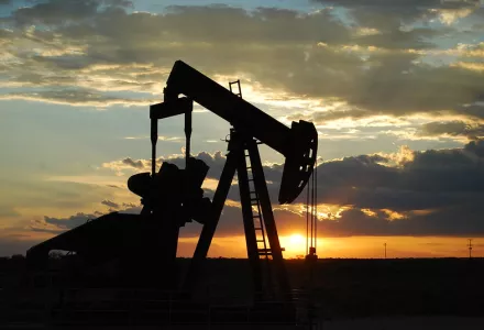Oil Pump Jack Between Seminole and Andrews, West Texas, August 13, 2008.
