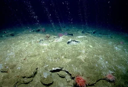 methane streams
