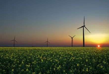 Wind turbines in a rapeseed field in Sandesneben, Germany