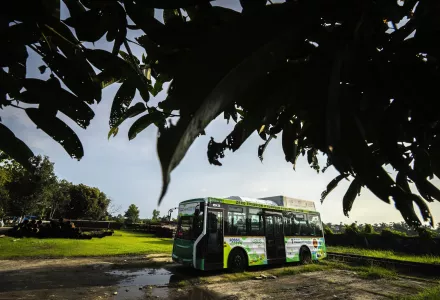 bus that runs on green hydrogen, framed by leaves