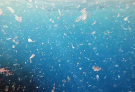 Plastic waste in the ocean.