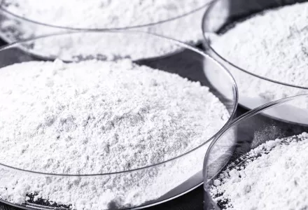 petri dishes filled with white powder