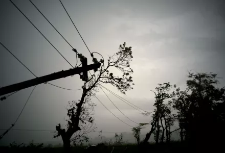 In this October 16, 2017 photo, power lines lay broken after the passage of Hurricane Maria in Dorado, Puerto Rico. A month after the storm rolled across the center of the island, power is still out for the vast majority of people as the work to restore hundreds of miles of transmission and distribution lines grinds on.(AP Photo/Ramon Espinosa)