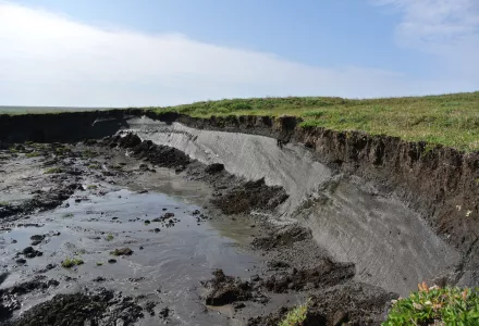 slumping due to permafrost thaw on Herschel Island