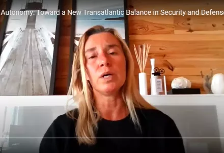 Screenshot from Federica Mogherini's study group