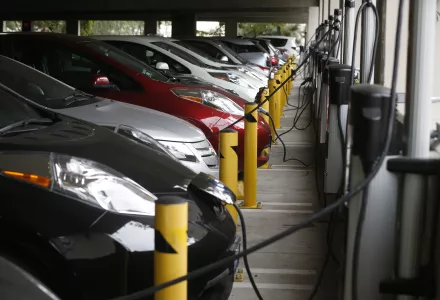 Electric cars sit charging in a parking garage at the University of California, Irvine, January 26, 2015.
