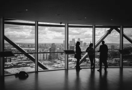 Private sector professionals