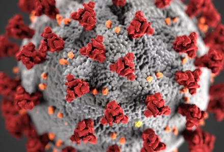 A magnified image of the Cornoavirus