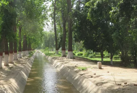 irrigation canal