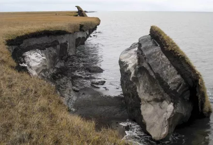 a collapsed block of ice-rich permafrost along Drew Point, Alaska