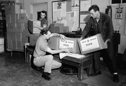 workmen label the priority packages of Salk polio vaccine for distribution