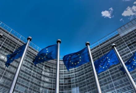 European Union Flags