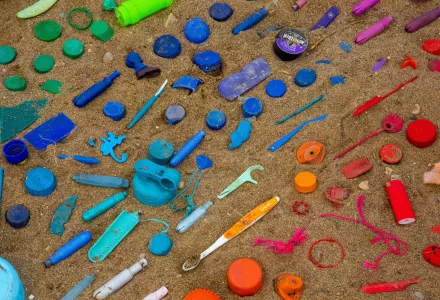 Assorted plastic collected during a spring community cleanup at the shoreline and harborfront of Hamilton, Ontario.