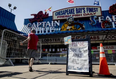 man helps set up portable fencing 