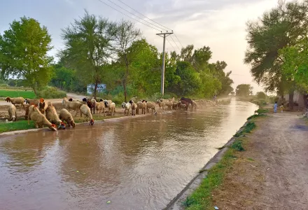 canal of small town Shah kot District Nankana Sahib in Punjab, Pakistan