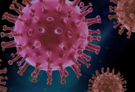 COVID19 Virus