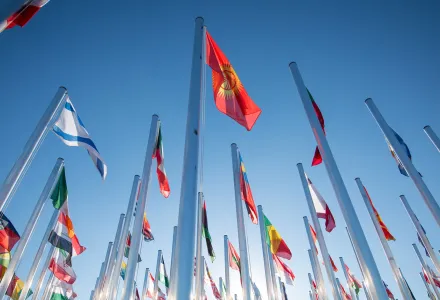 Flags of the world