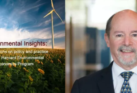 Robert Lawrence Environmental insights montage
