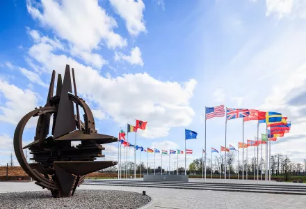 Image of flags of NATO countries