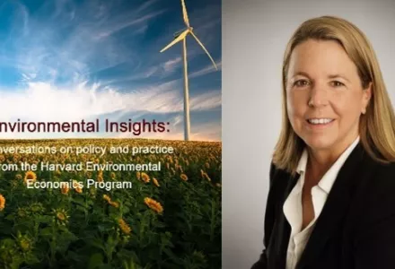 Environmental Insights logo and Karen Fisher-Vanden