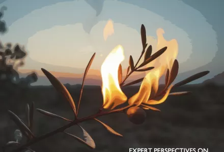 Burning Olive Branch