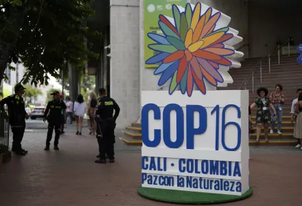 A sign in front of a hotel announces the COP16 United Nations biodiversity conference.