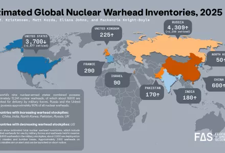 Status of World Nuclear Forces