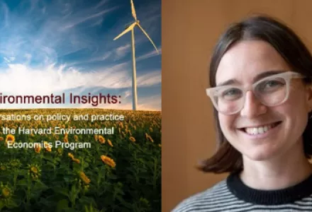Anna Russo Environmental Insights Graphic