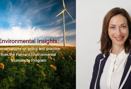 Elaine Buckberg podcast graphic