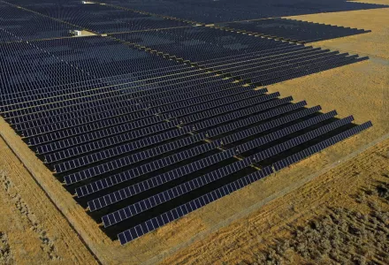 solar farm