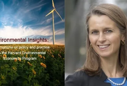 Catherine Wolfram Environmental Insights Graphic